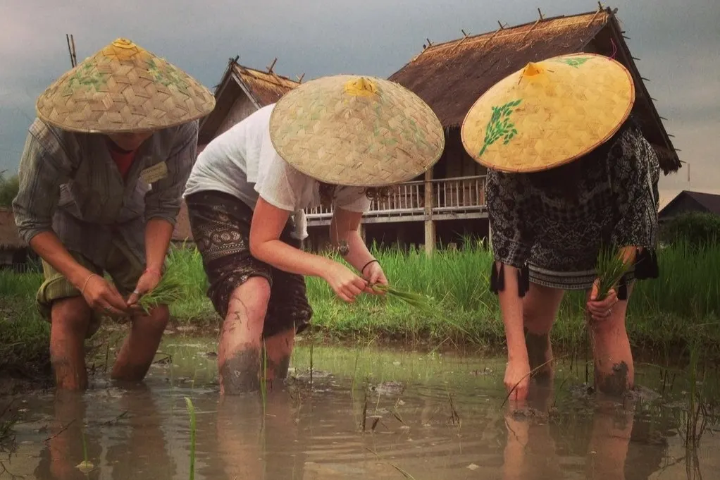 The Living Land Farm Rice Experience in Luang Prabang 2