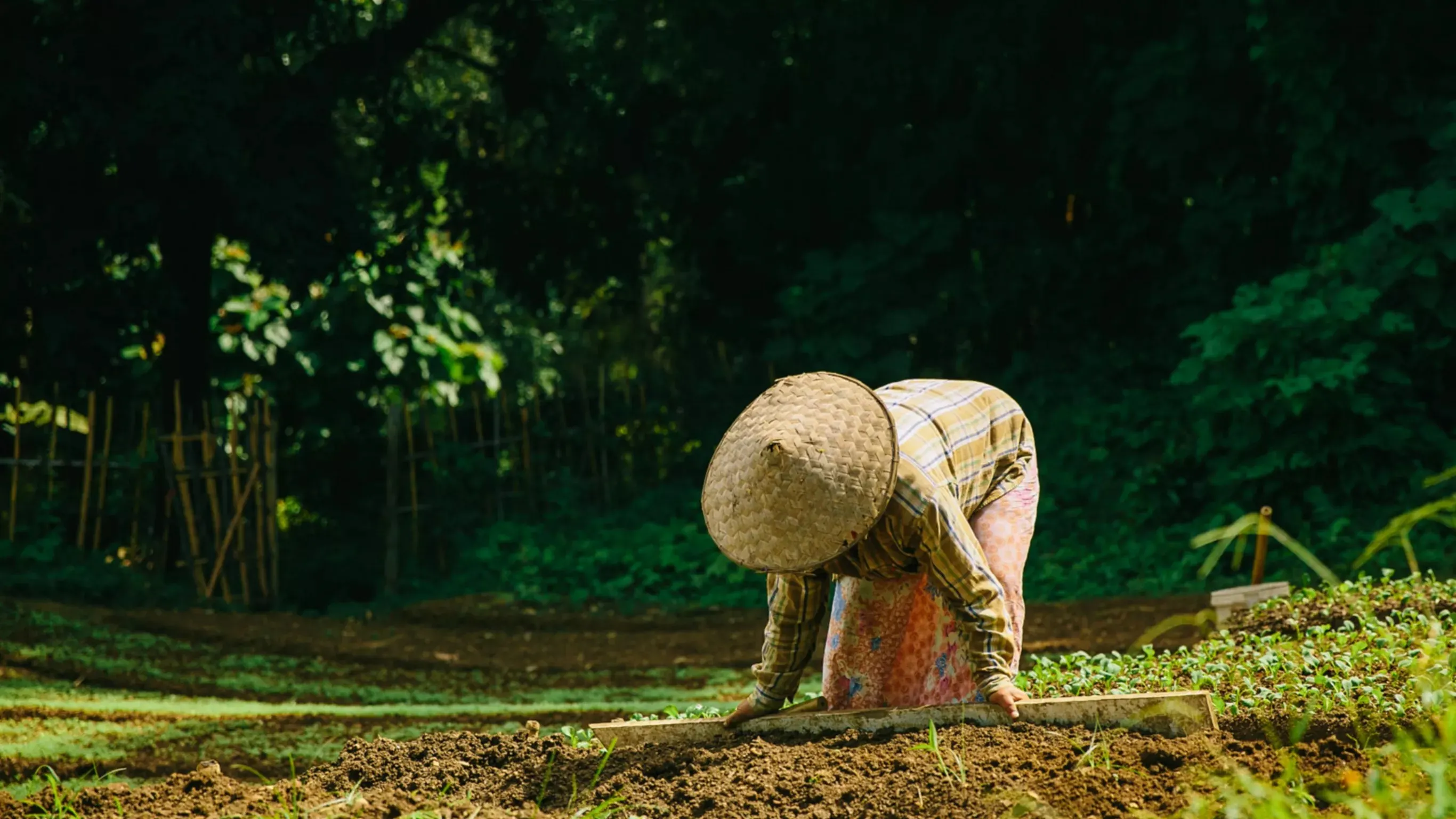 The Living Land Farm Rice Experience in Luang Prabang 3