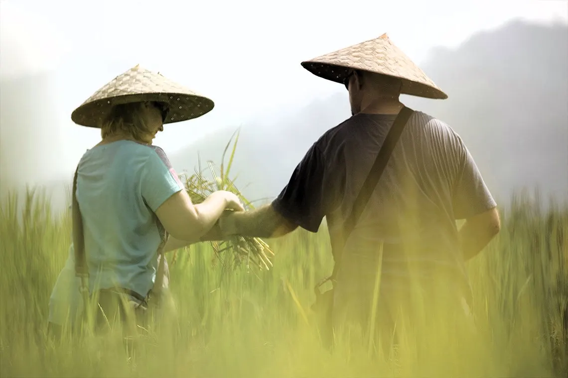 The Living Land Farm Rice Experience in Luang Prabang 4