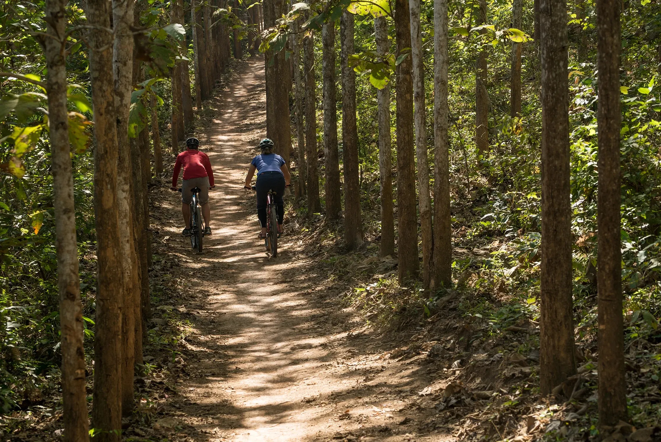 Bike Rental Service in Luang Prabang 4