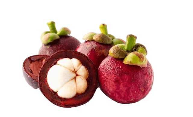 Fresh purple mangosteen ready for export from Indonesia