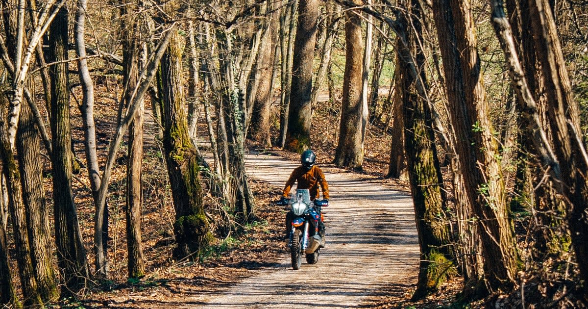 モンテッロをバイクで巡る旅|ピアーヴェの森に息づく歴史と静寂