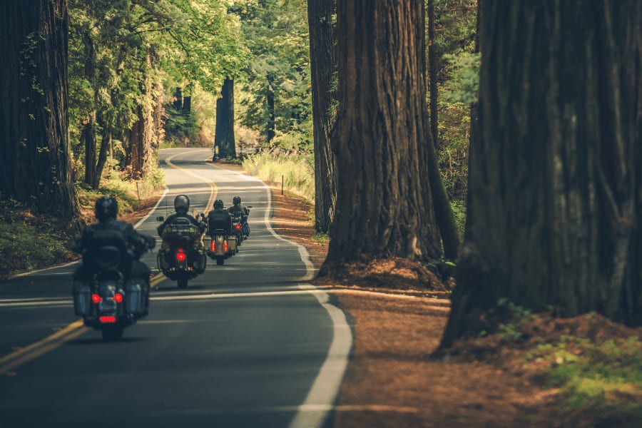 helmet-inner--1673854312905