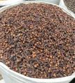 Cloves