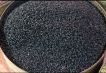 Black seed