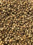 Coriander Seed 500g