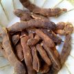 Tamarind