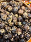 Gorontula 25Pcs