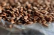 Flax seed 1