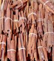 Cinnamon Stick 3