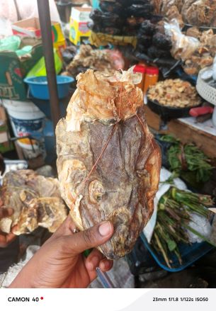 Stock Fish Head