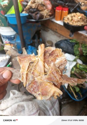 Stock Fish Earpiece