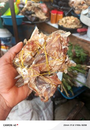 Stock Fish Ear