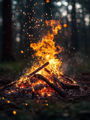 Descripción del producto