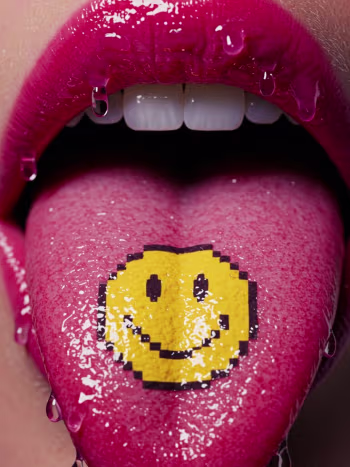 Descripción del producto