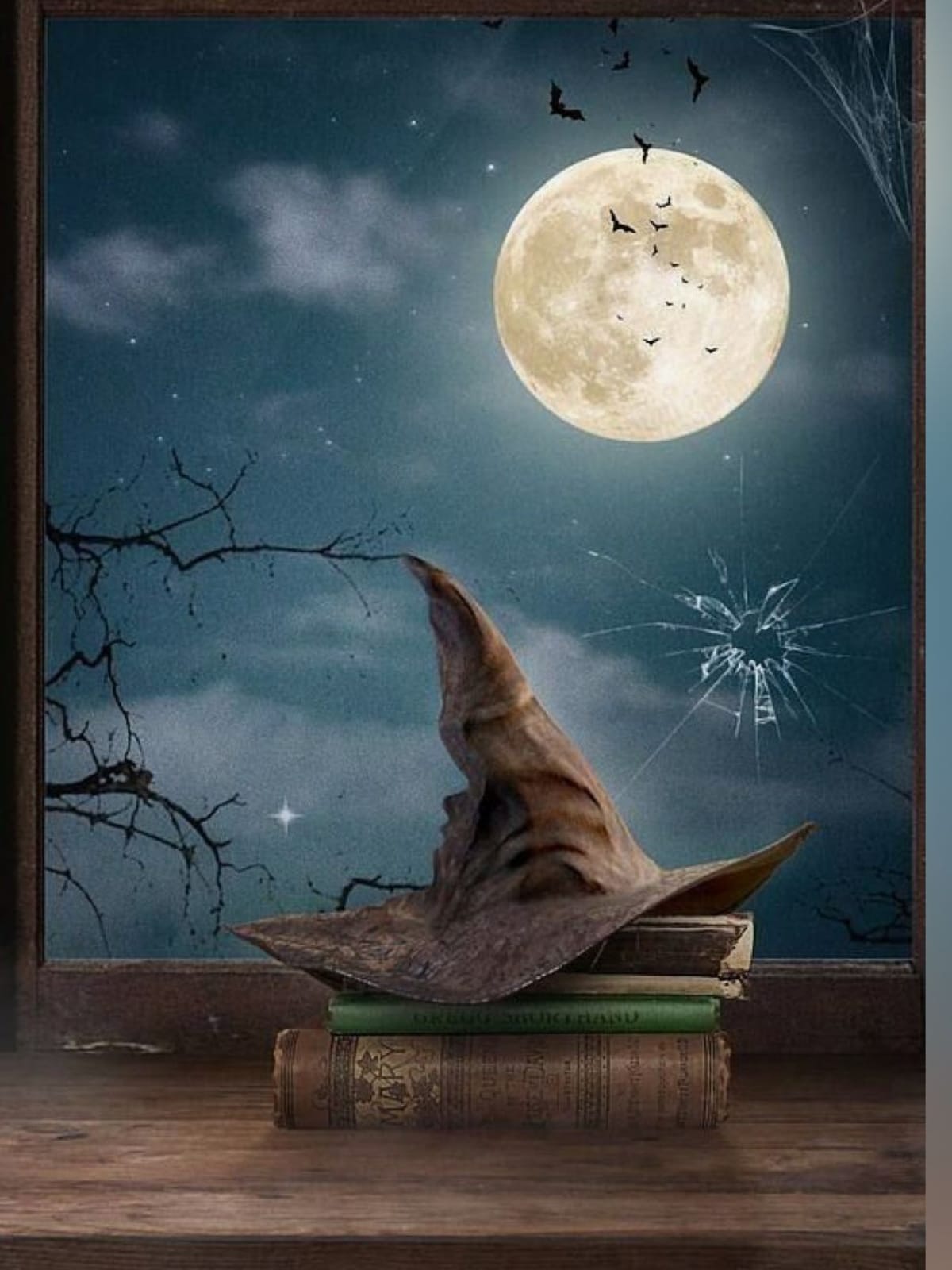 Descripción del producto