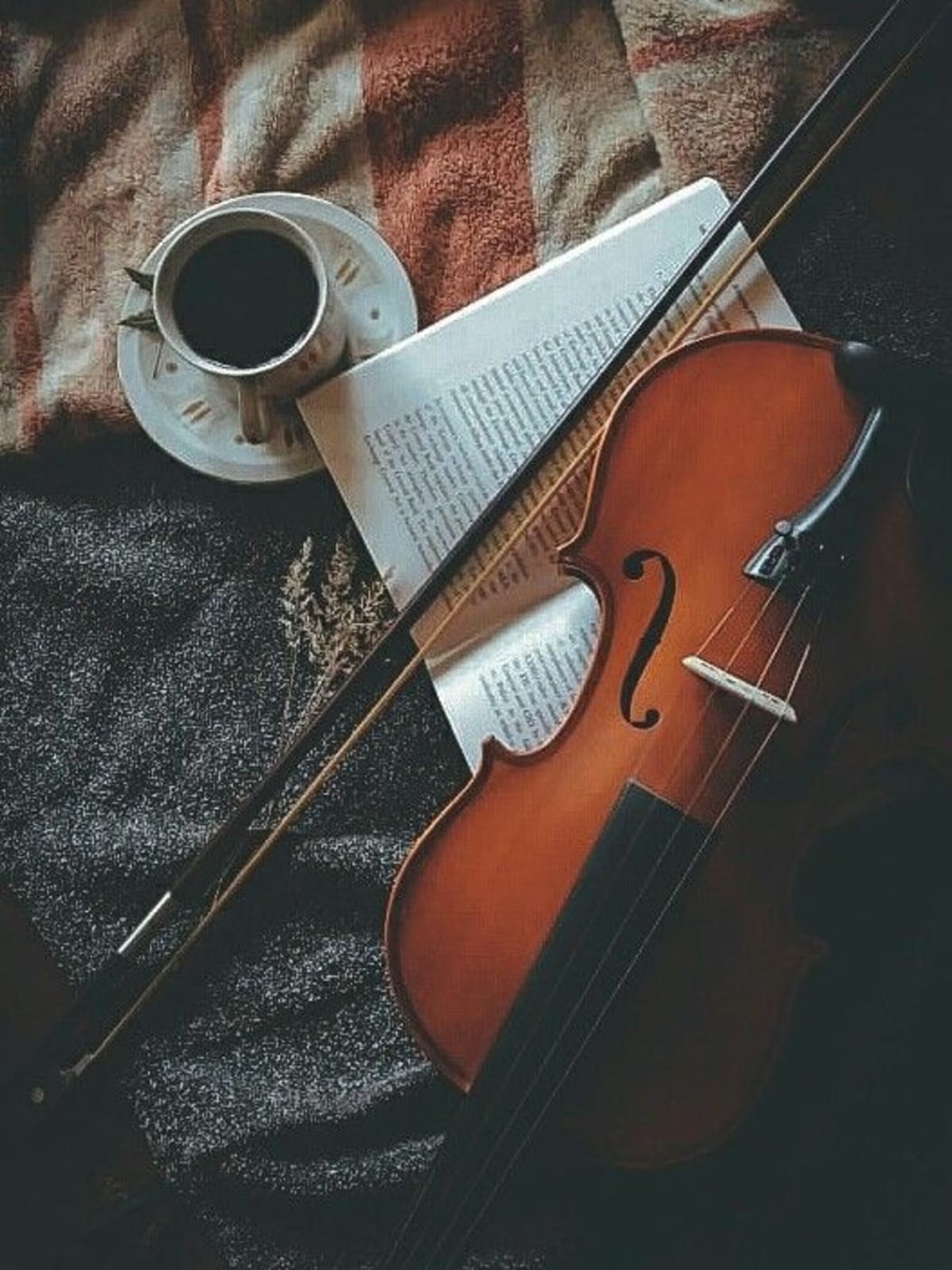 Descripción del producto