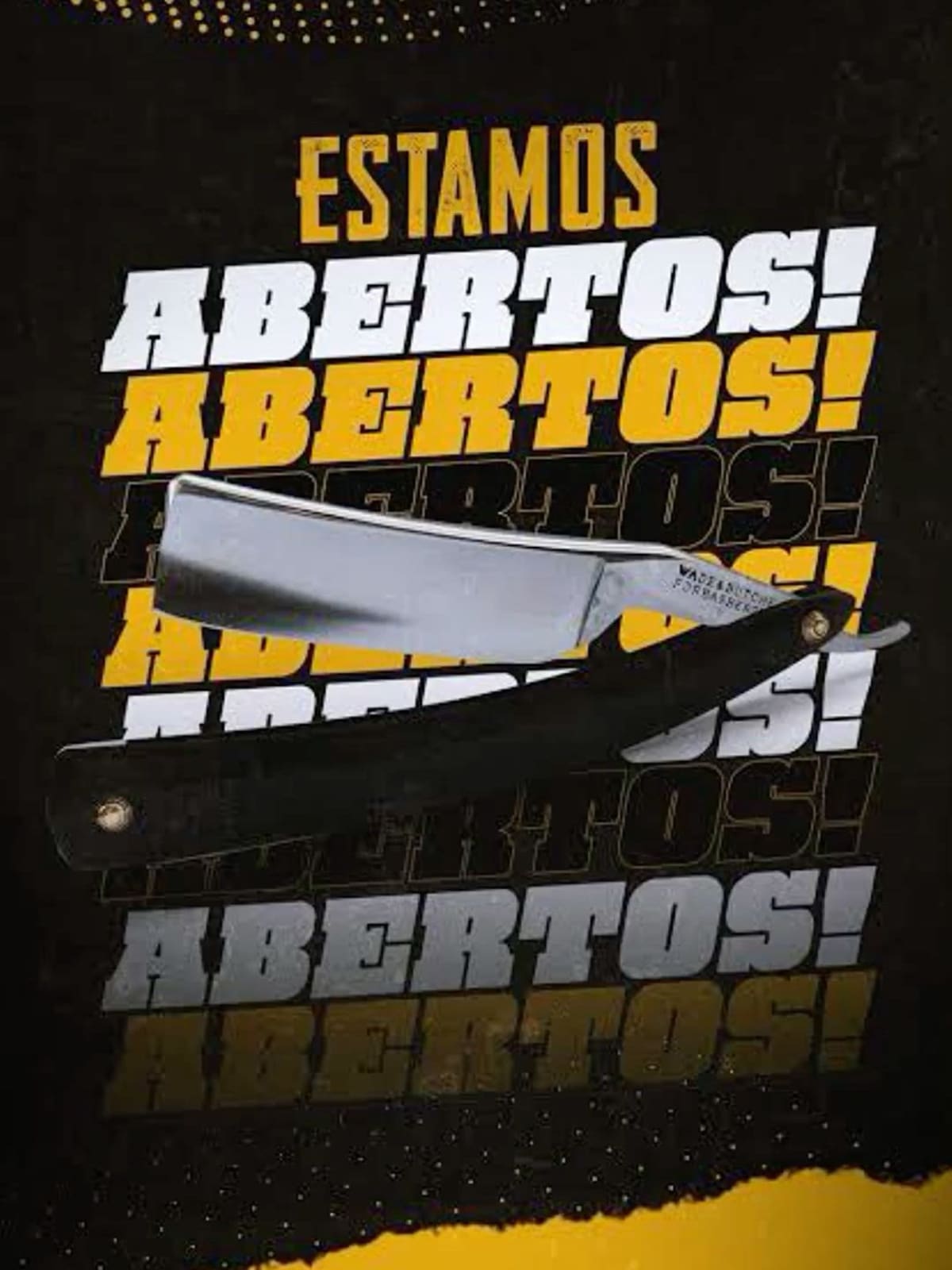 Descripción del producto