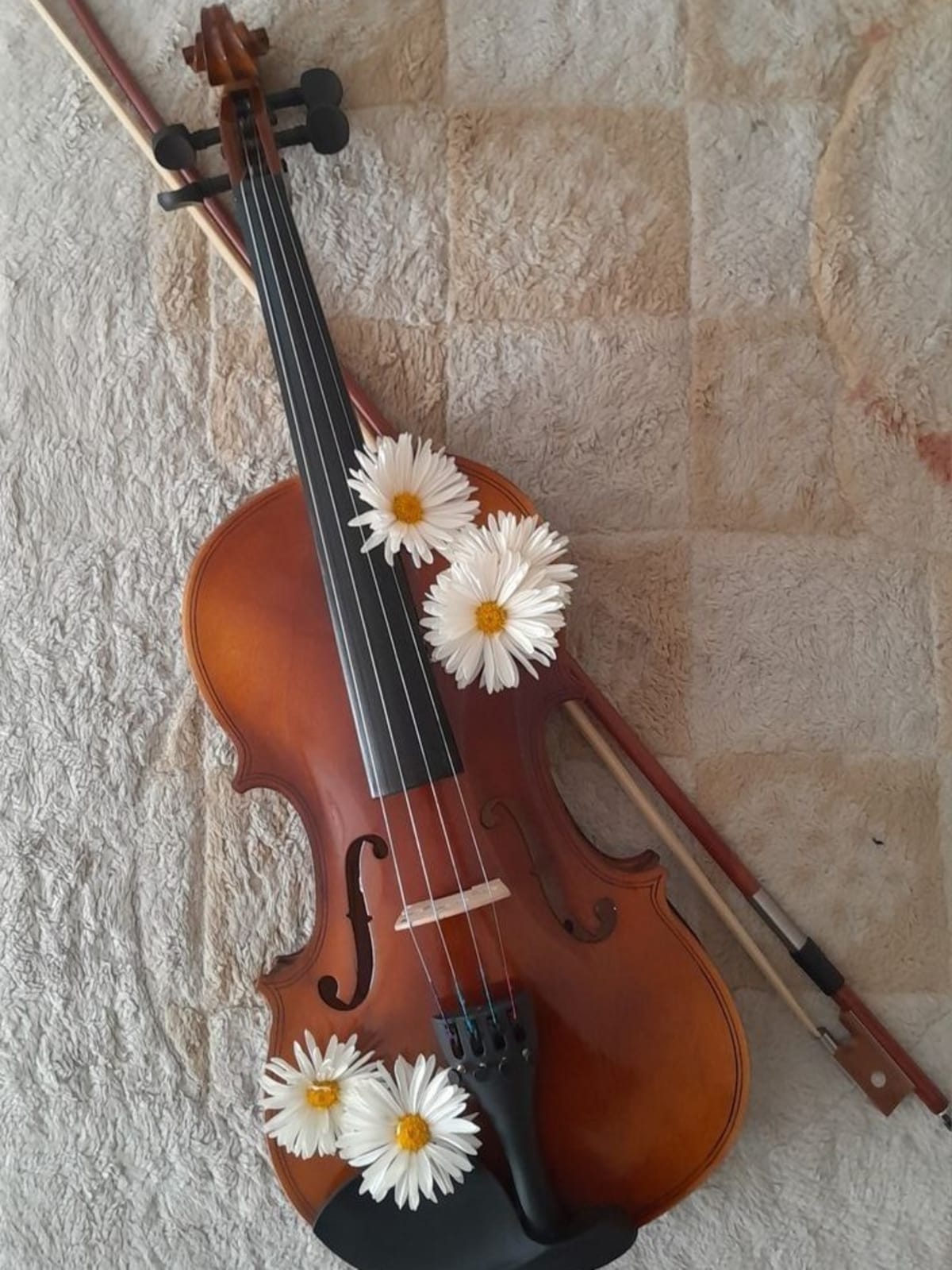 Descripción del producto