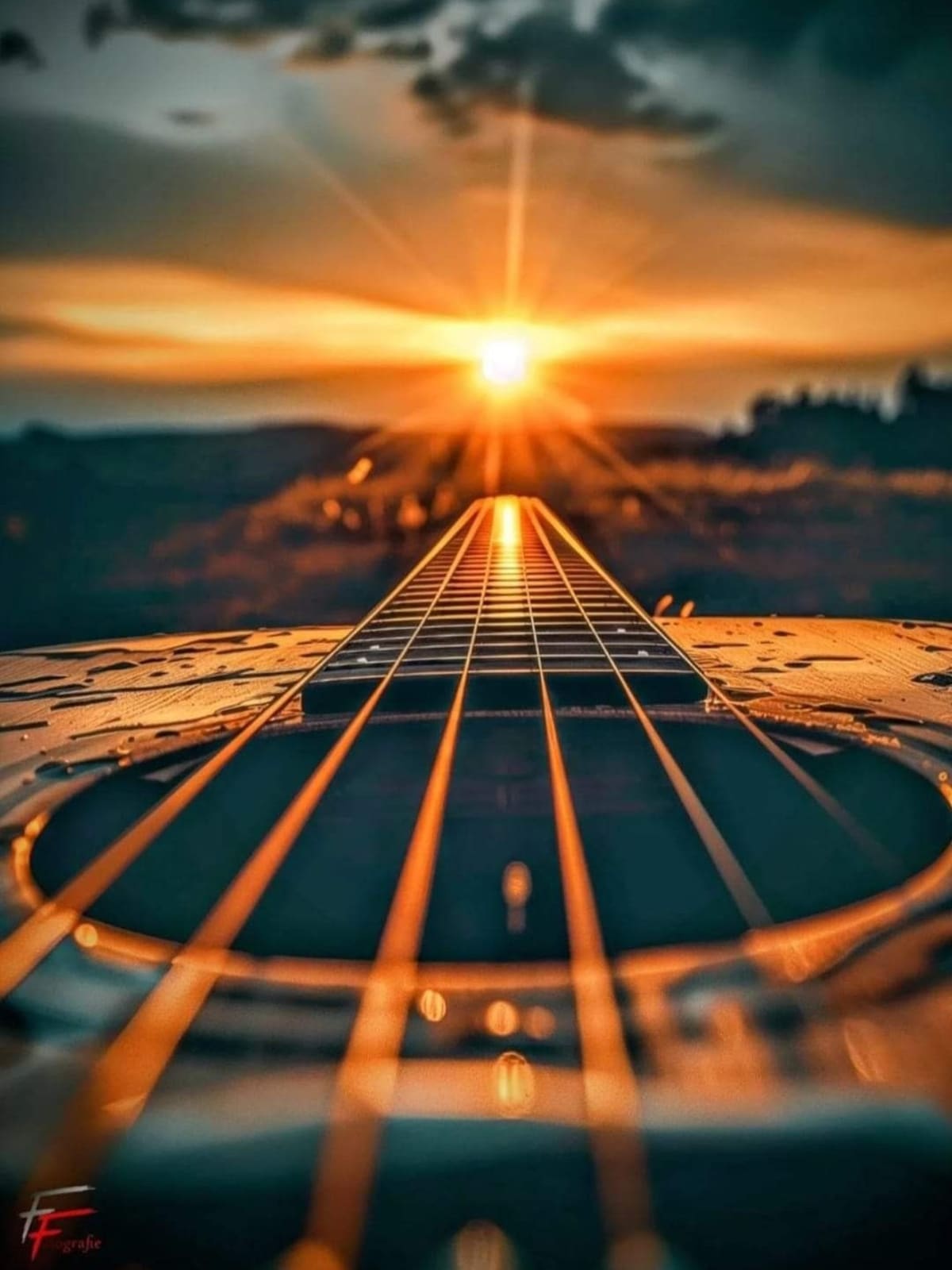 Descripción del producto