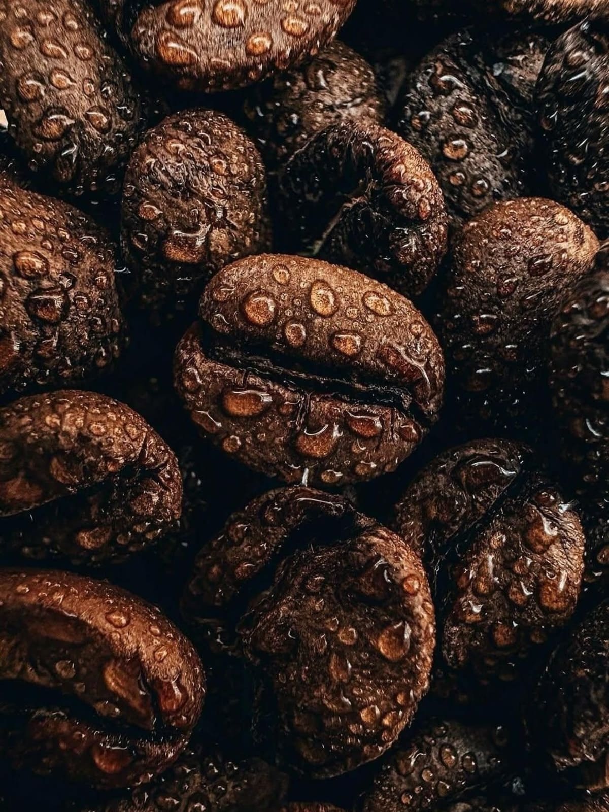 Descripción del producto