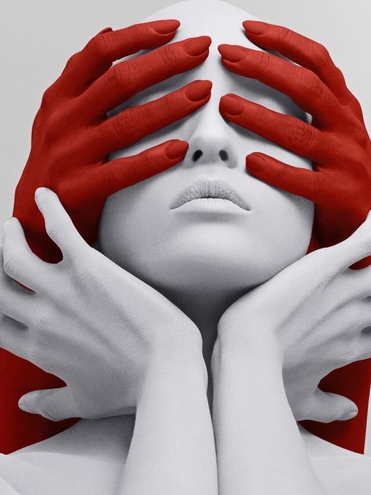 Descripción del producto