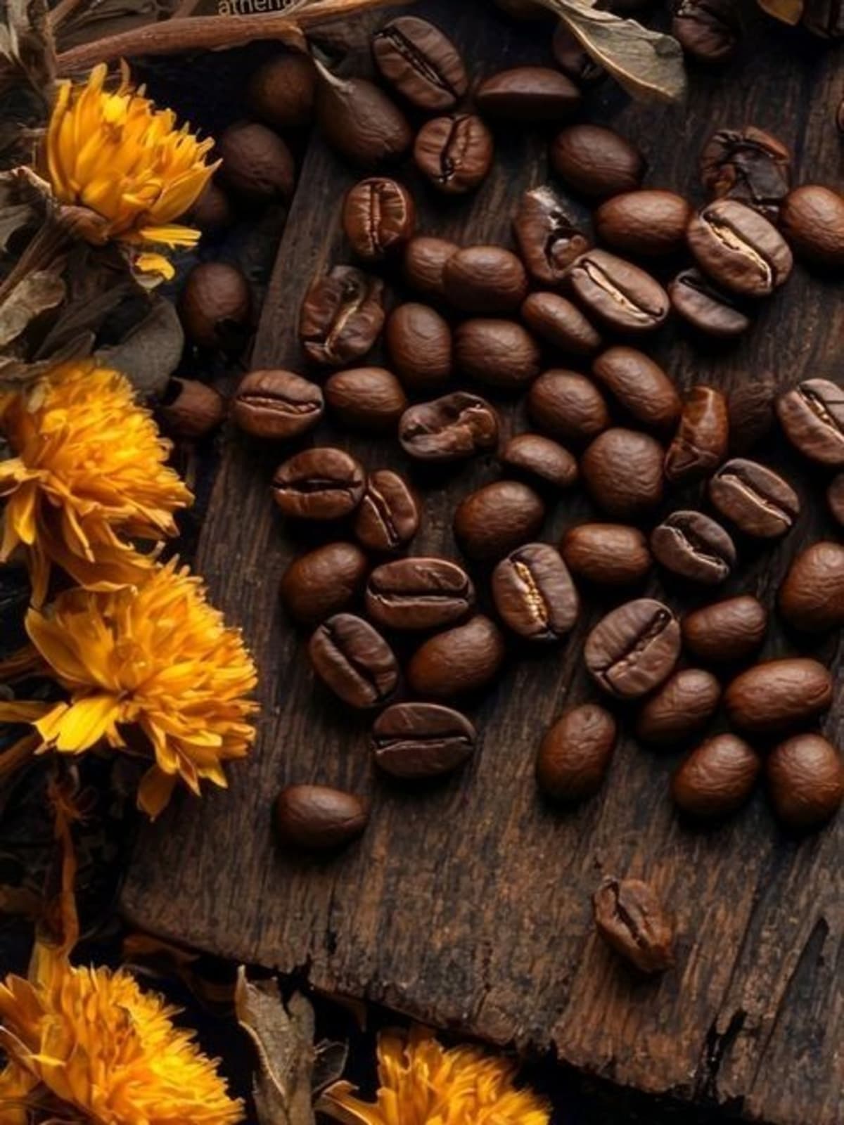 Descripción del producto