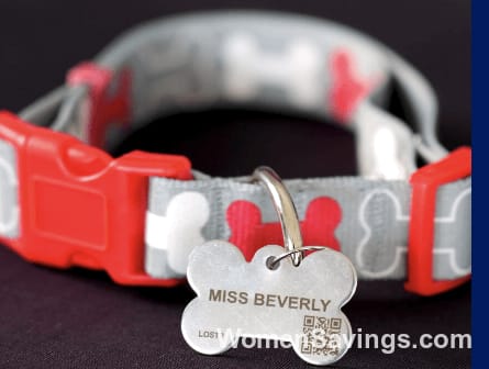 FREE Personalized Pet ID Tag - Fido or Tabby Engraved + Free Shipping