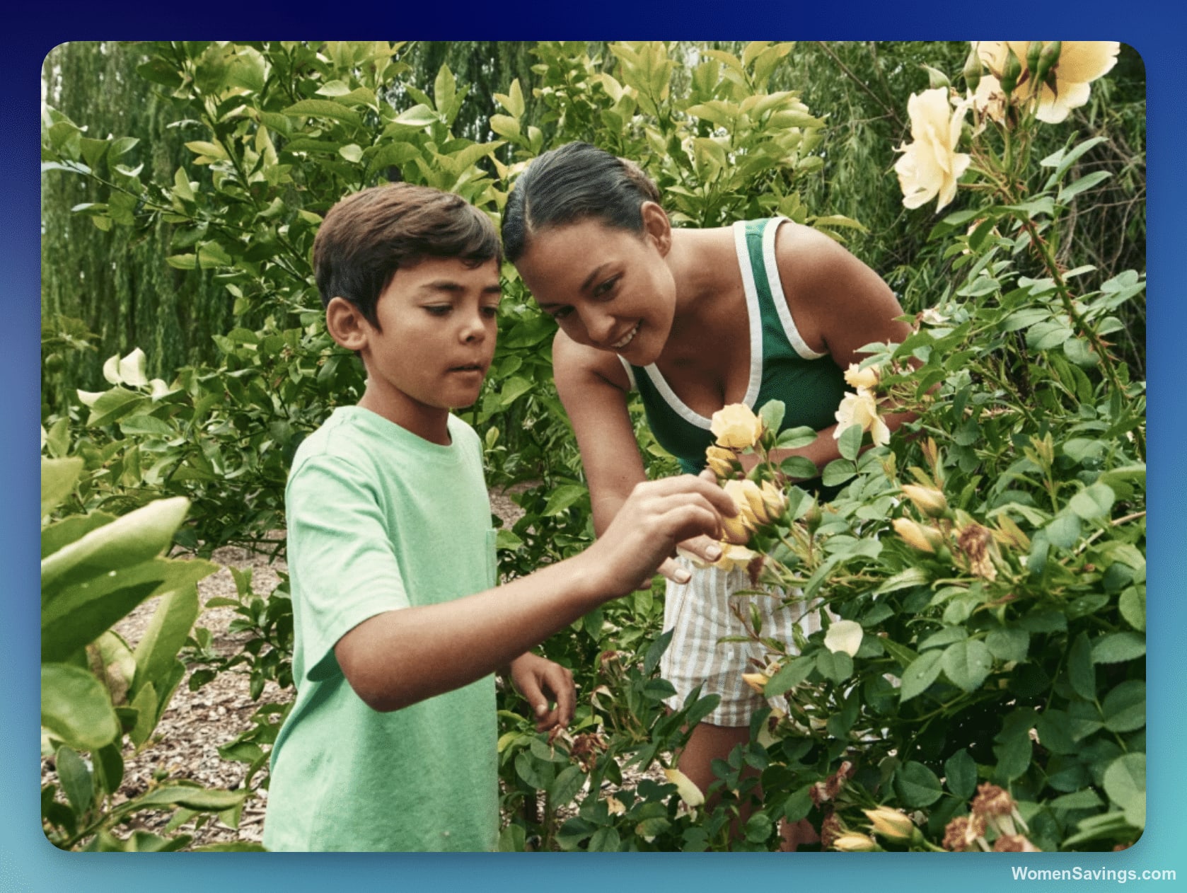 Scotts Miracle-Gro America's Backyard Instant Win Game - 251 Winners