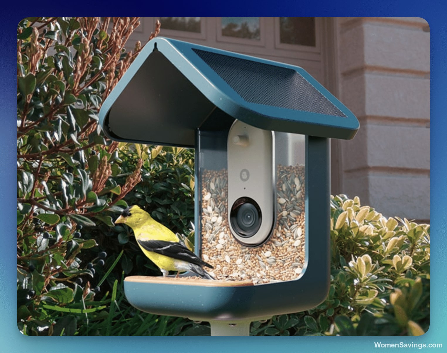 Win a Bird Buddy Smart Bird Feeder Pro with Solar Roof!