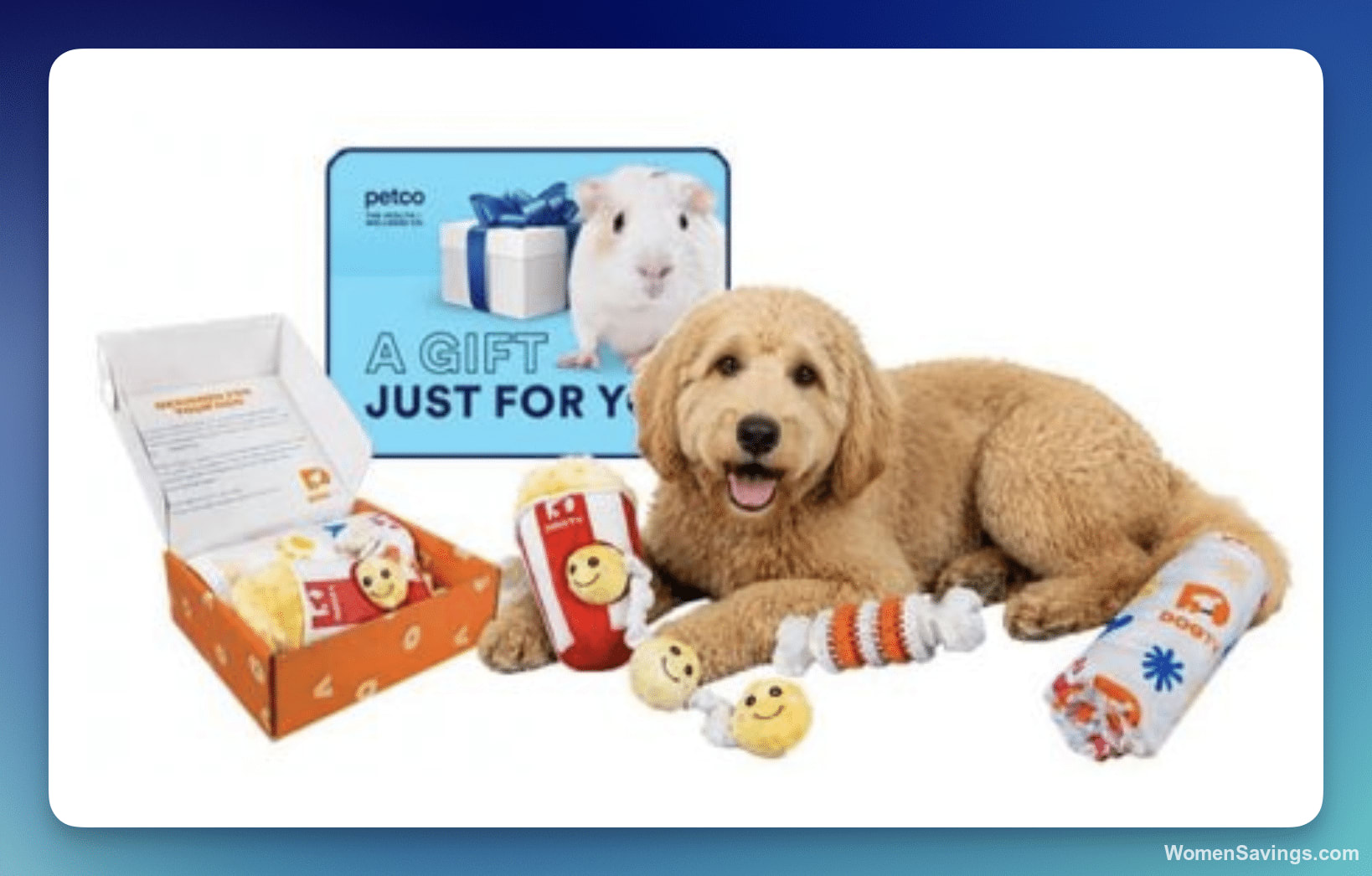 DOGTV x JustFoodForDogs Unleashed Giveaway