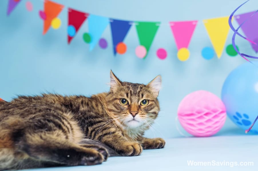 FREE Nulo Prowess All-In-One Dry Cat Food Sample