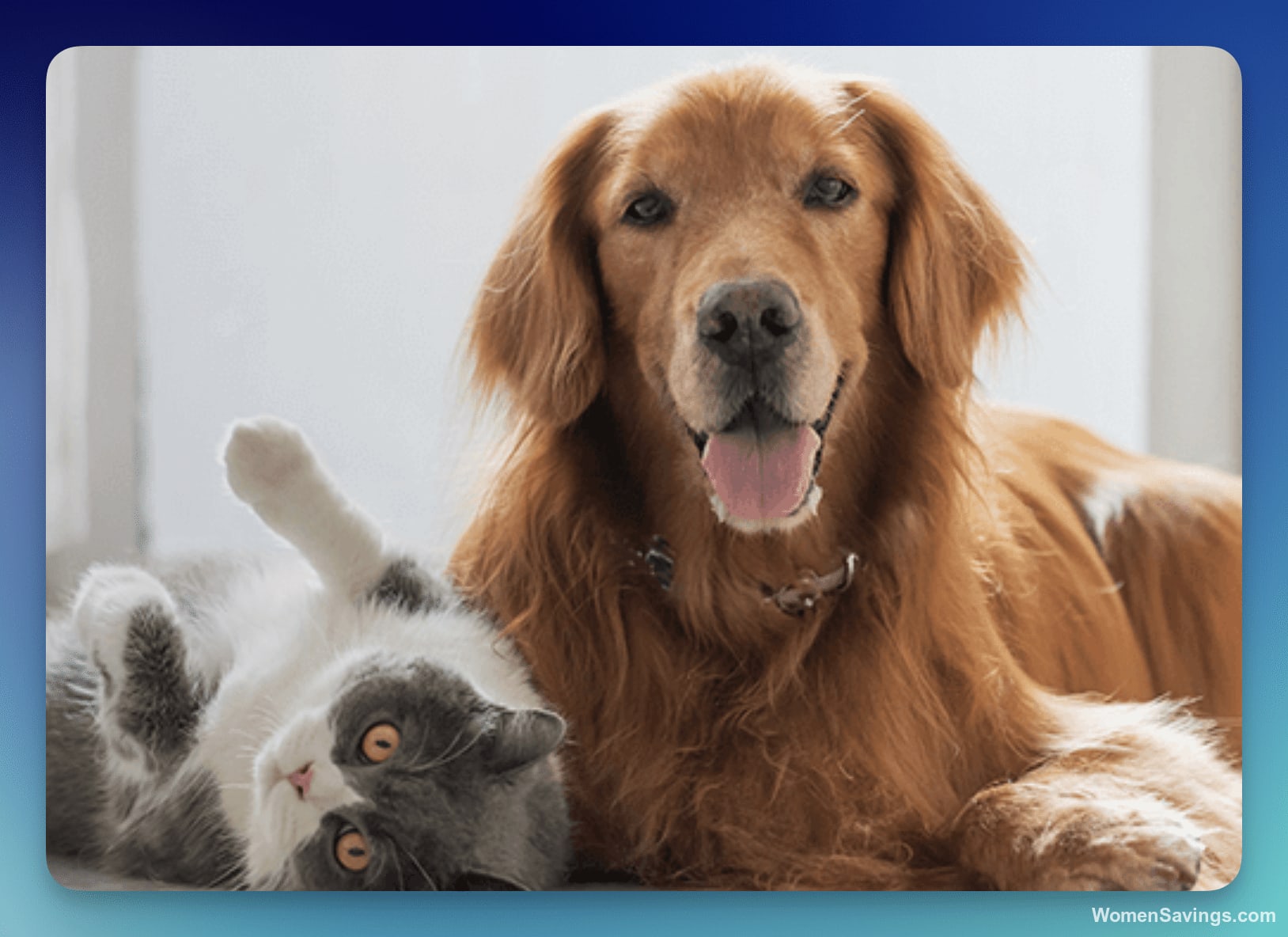 Tractor Supply Co: FREE Animal Days Event August 15