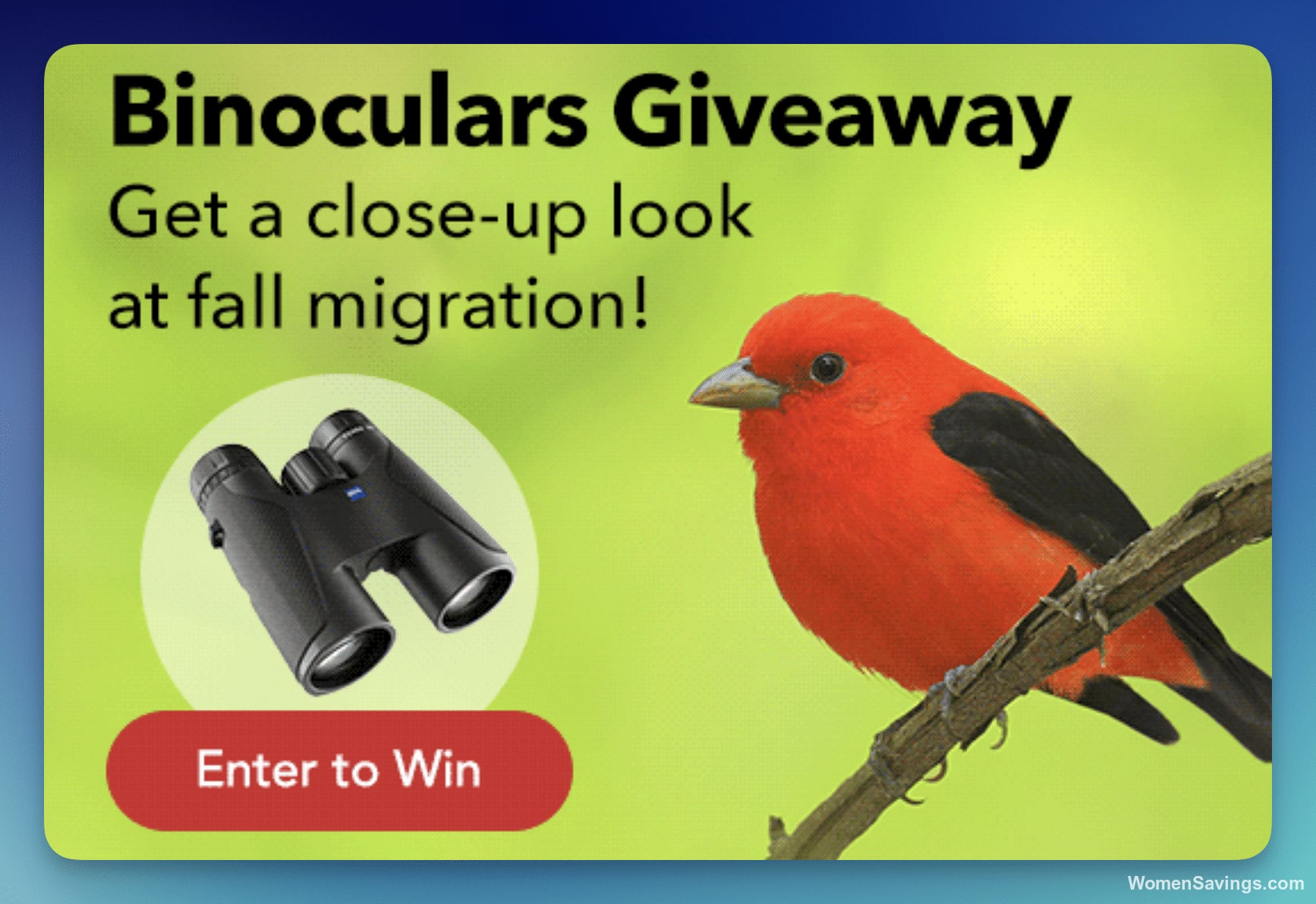 Win ZEISS Terra ED Binoculars from Cornell Lab of Ornithology