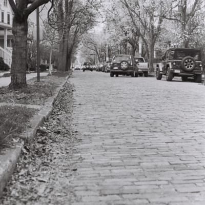 Photo IMG_6303_ztotph