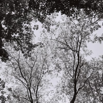 Photo IMG_6301_rsrxfc