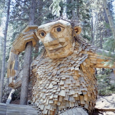 Photo Gorstein_120_4650_001_whhzrj