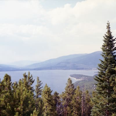 Photo Gorstein_120_4650_008_ce9y52