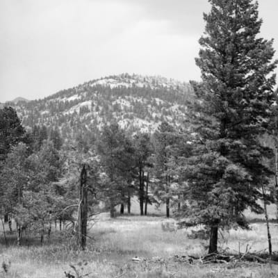 Photo Gorstein_BW_120_4645_008_gnskfz