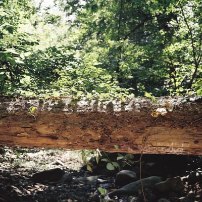 Photo 548665A-R01-004_qjnwvs