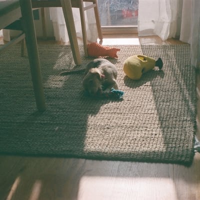 Photo 000062930017_ot6wb3