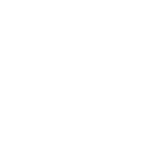 Stock