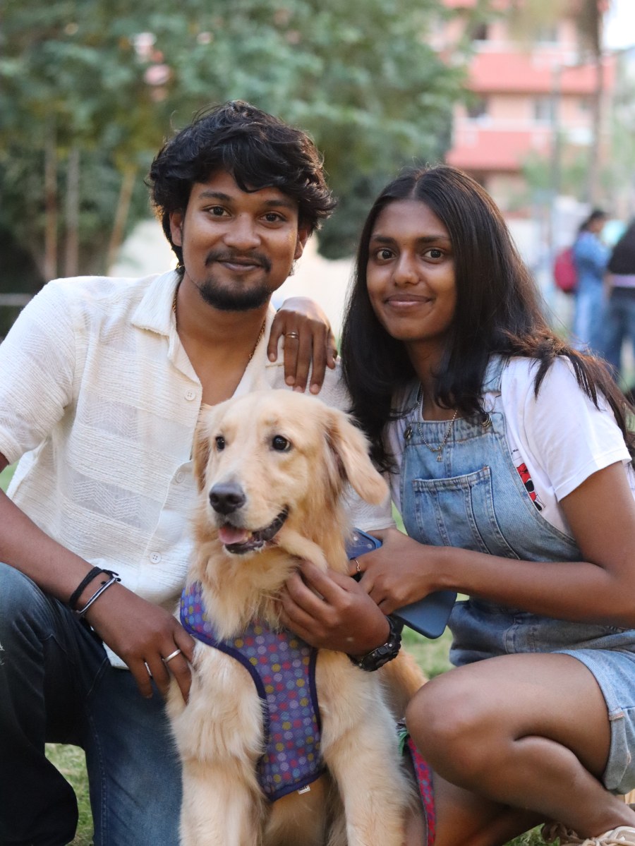 Portfolio photo 29