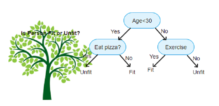 Understanding the Decision Tree Algorithm A Powerful Tool for Decision-Making