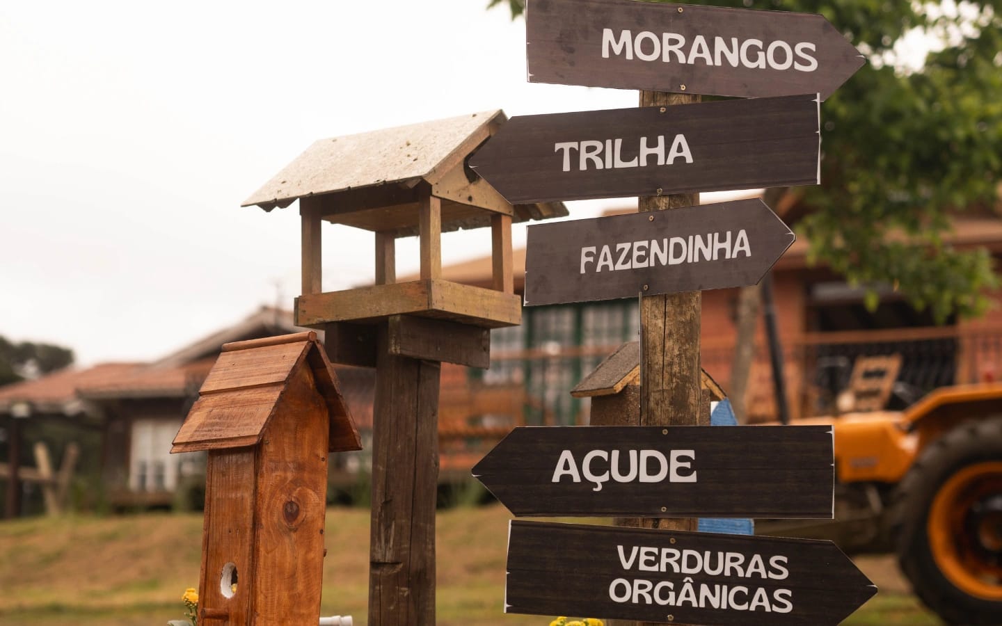 Paisagem e espaço ao ar livre da propriedade