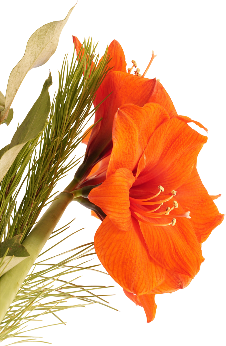 Flor laranja decorativa representando a floração das plantas visitadas pelas abelhas