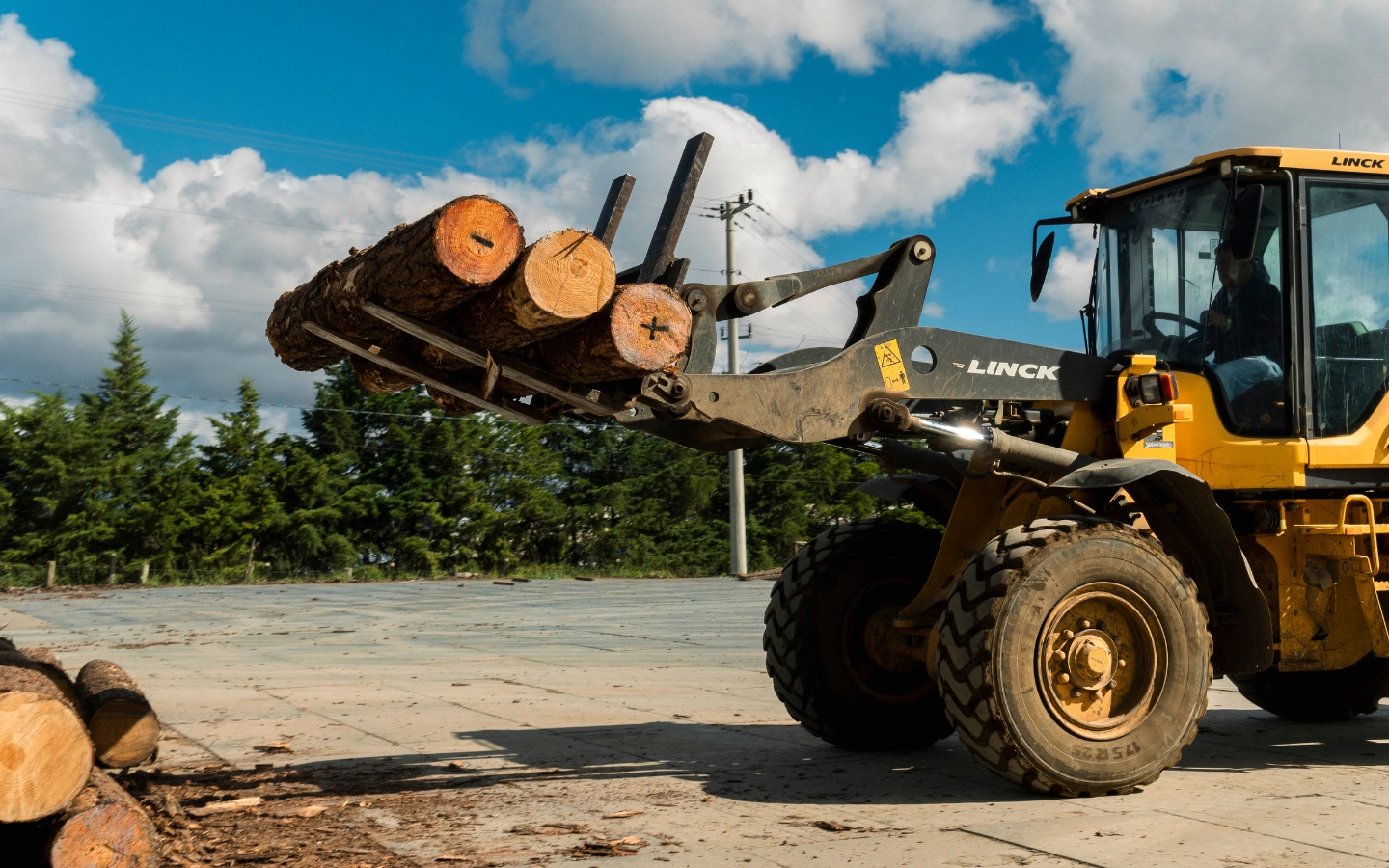 Operação e ambiente de trabalho na madeireira em Santa Catarina