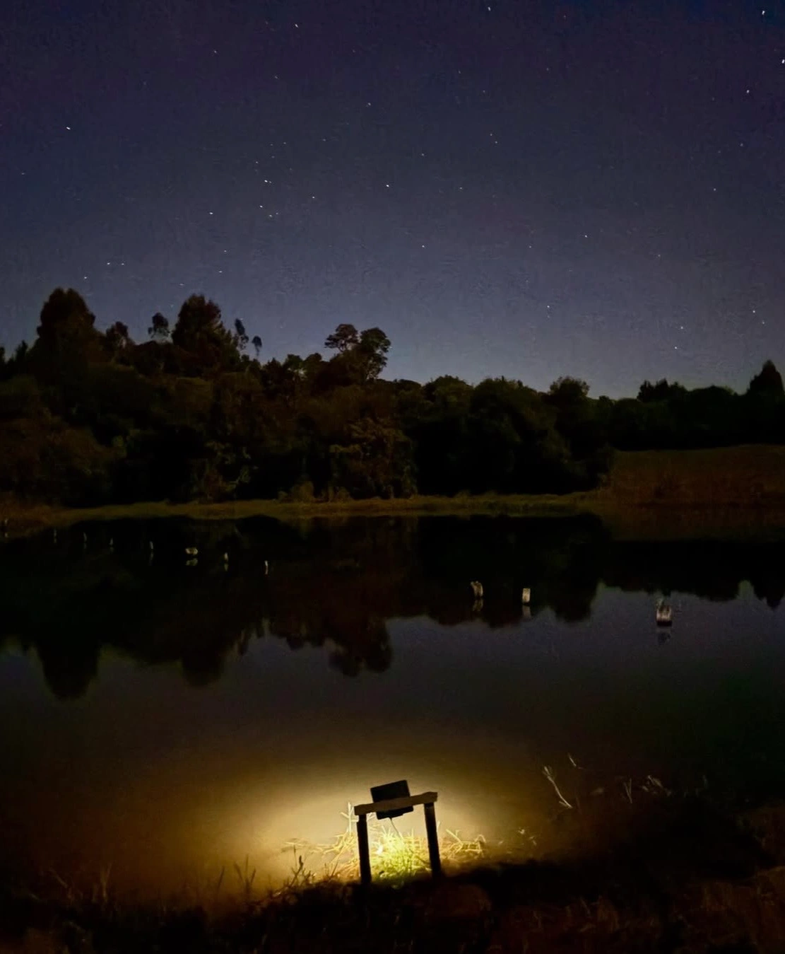 Pesca esportiva na Casa França