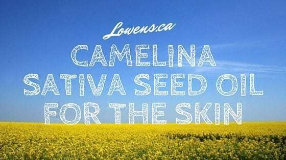 Camelina Sativa Seed Oil For The Skin: Topical Application