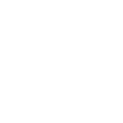 Security icon